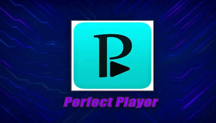  Perfect Player